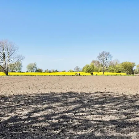 5 Bedroom Beautiful In Holiday home